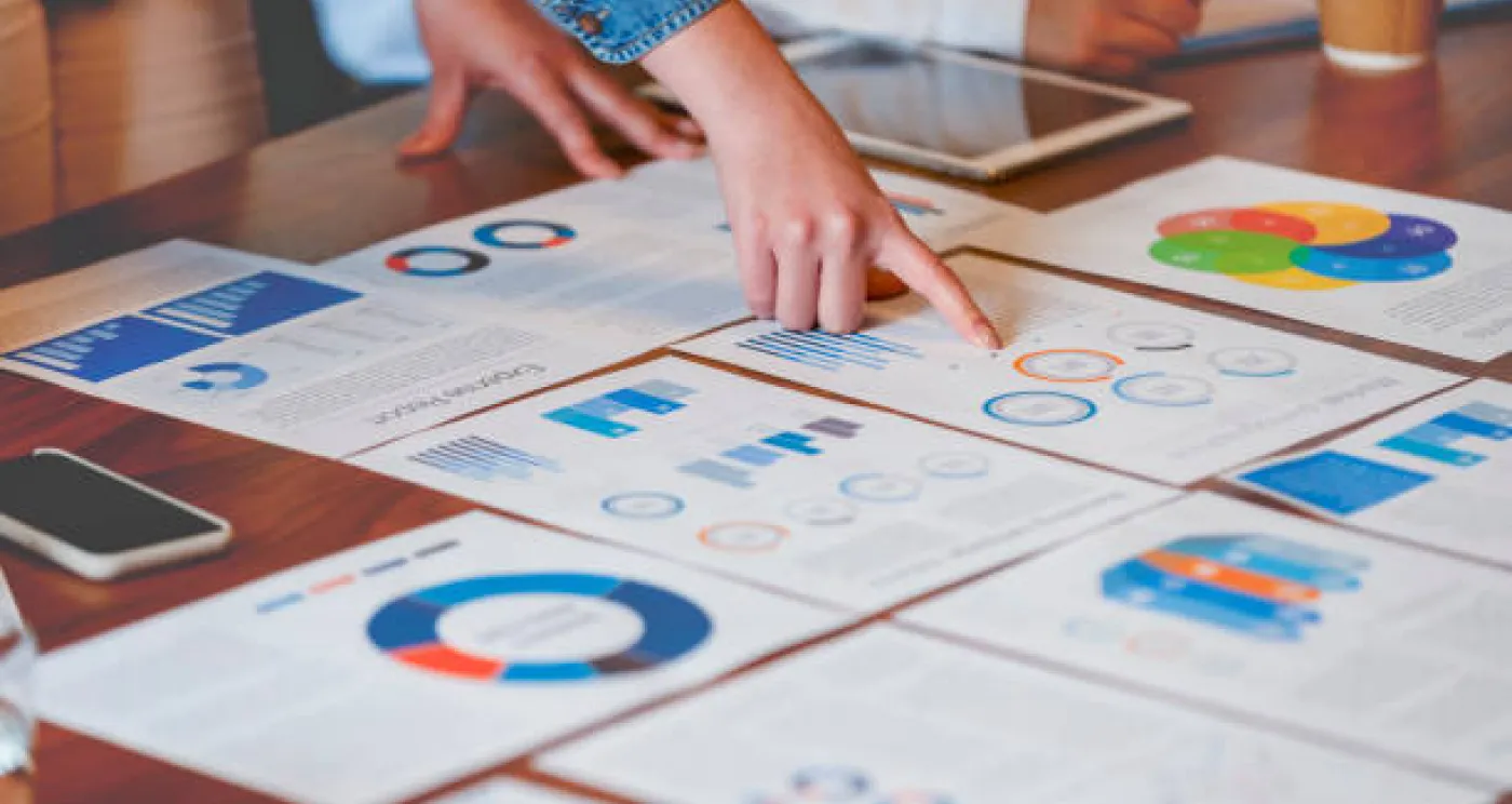 Consumer Insights and Marketing Research Company