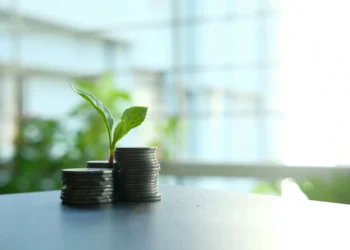 Middle Eastern Government – Emir and Economic Minister